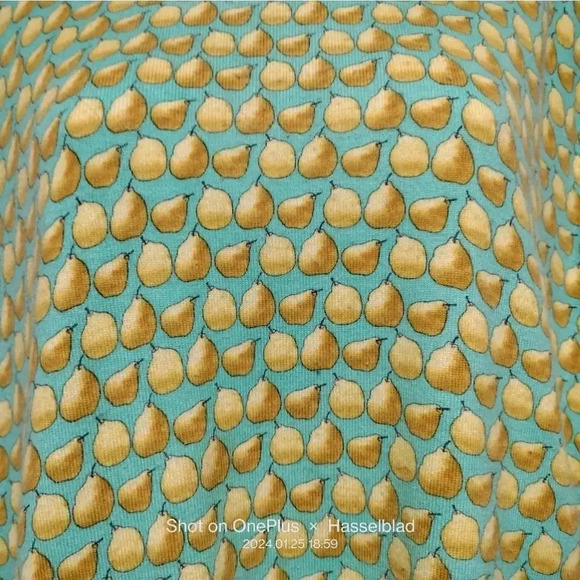 Talbots Size XLp Green Knit Pear Details Button Up back - Picture 4 of 8